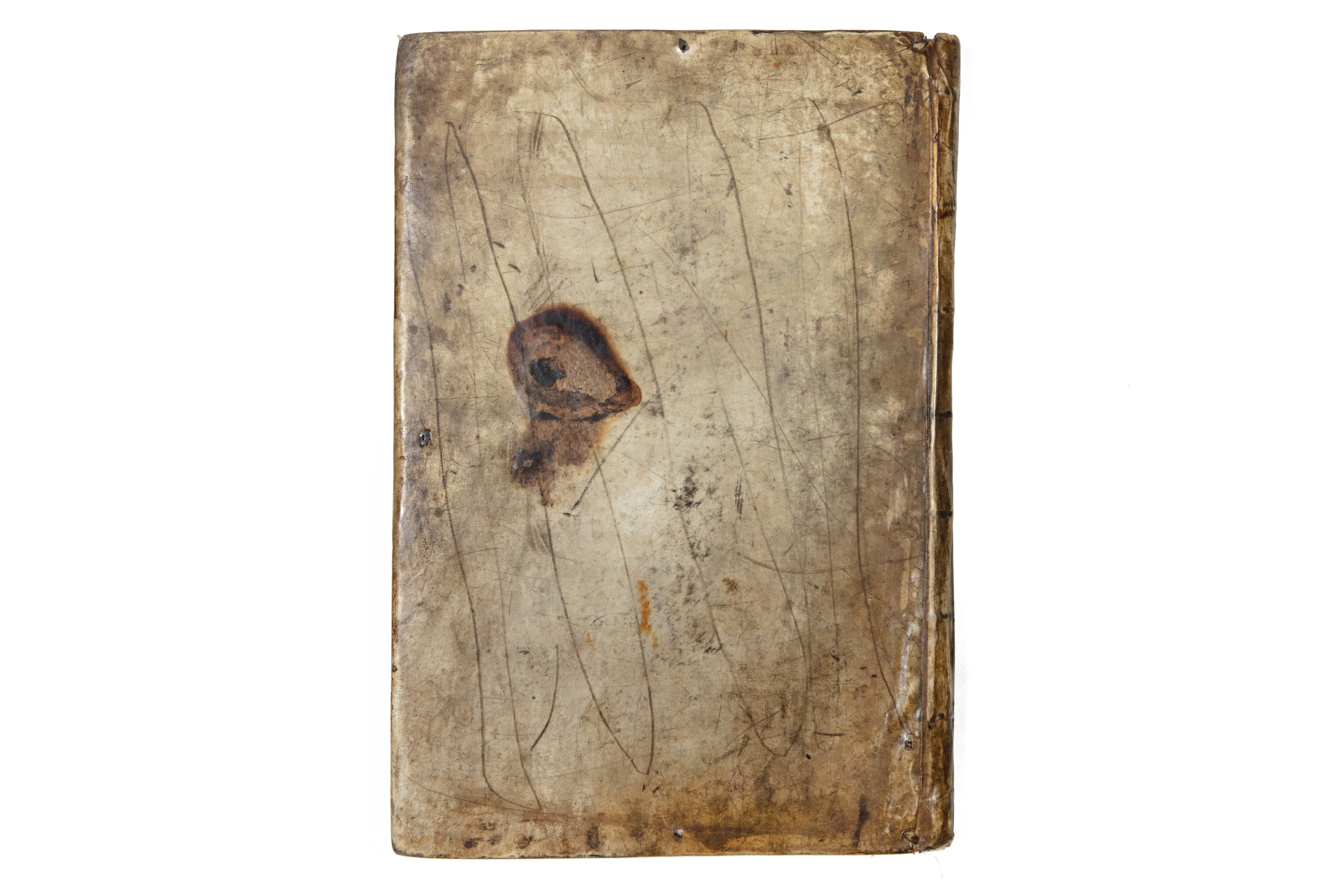 Auflichtaufnahme vom Rückdeckel des originalen Pergamenteinbands