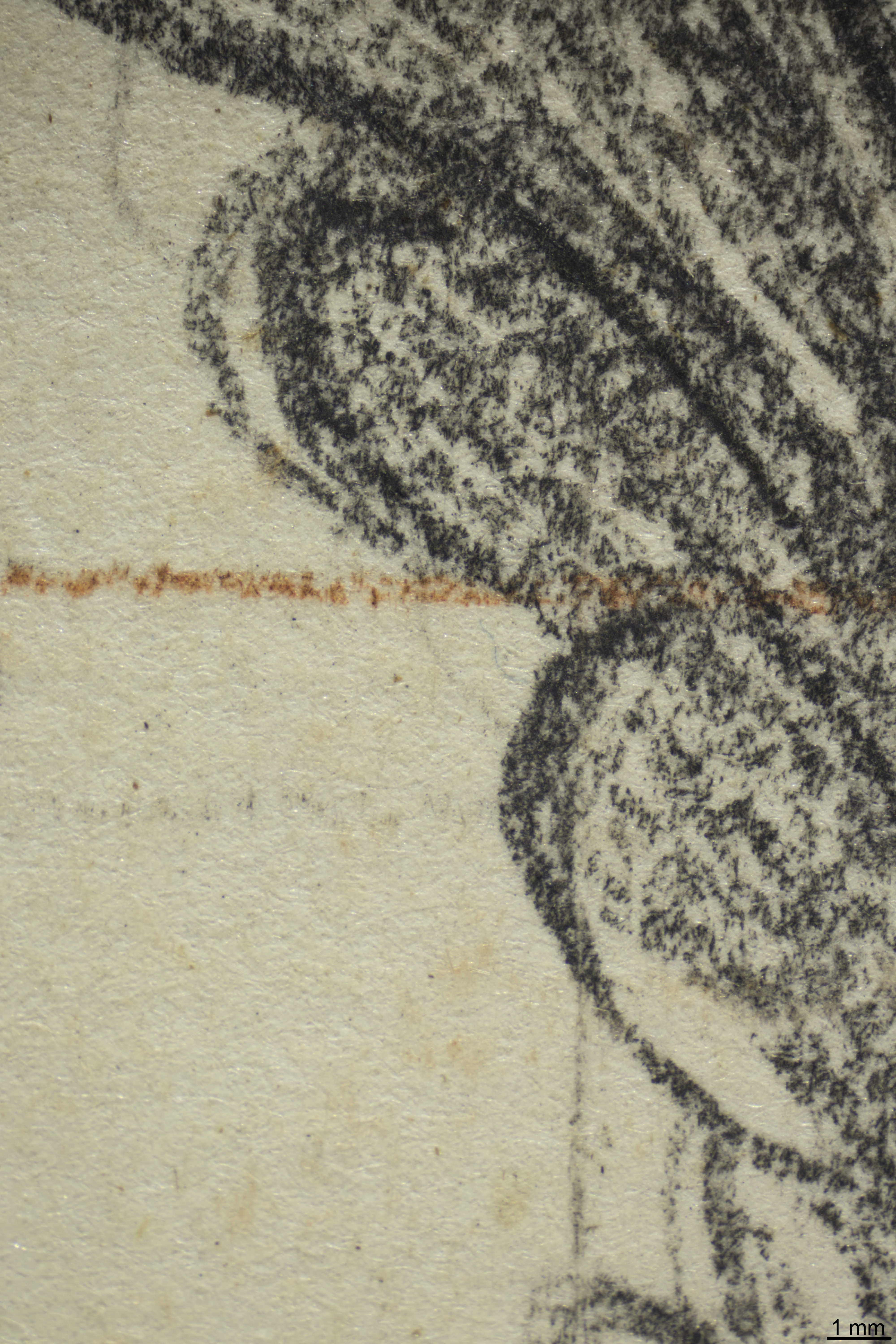 Detailaufnahme unter Auflicht mit schwarzer Kreide und Spuren der Rötelkreide
