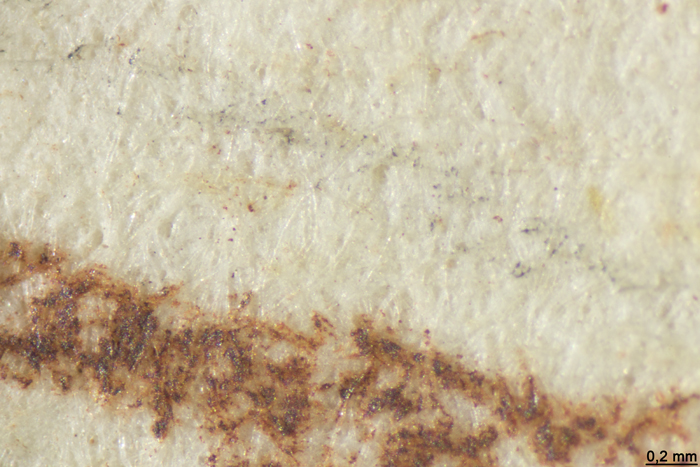 Close-up mit Strich der Rötelkreide auf Papier