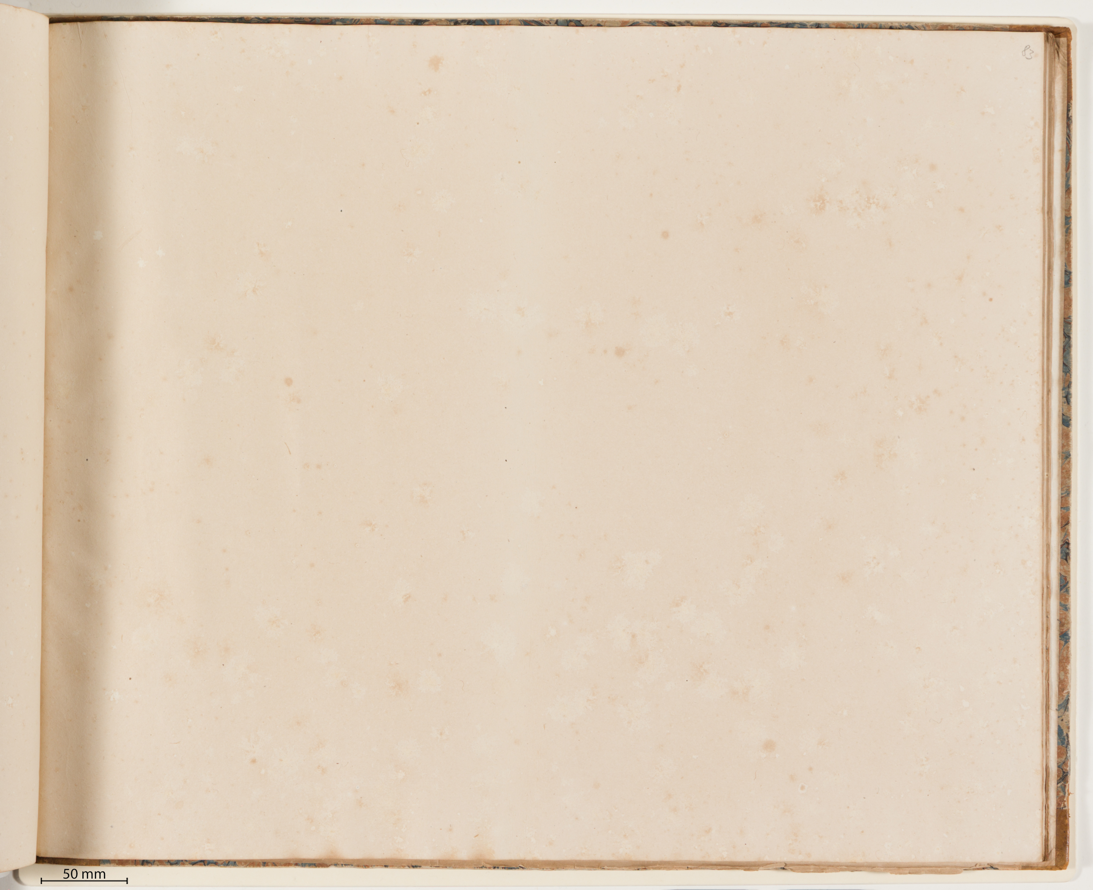 Eighty-third sheet from album 1, incident light photograph of the blank sheet