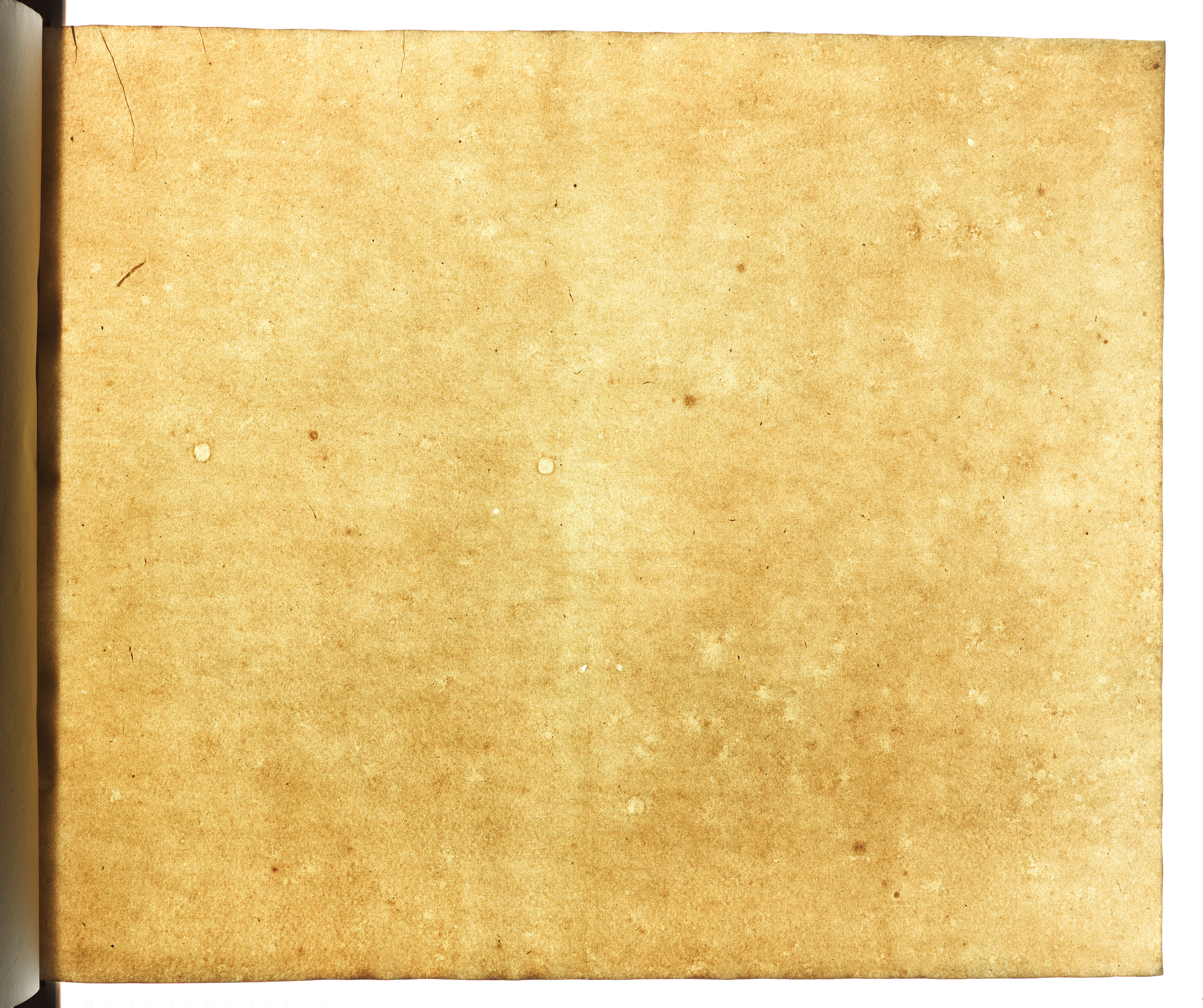 Eighty-third sheet from album 1, transmitted light photograph of the blank sheet