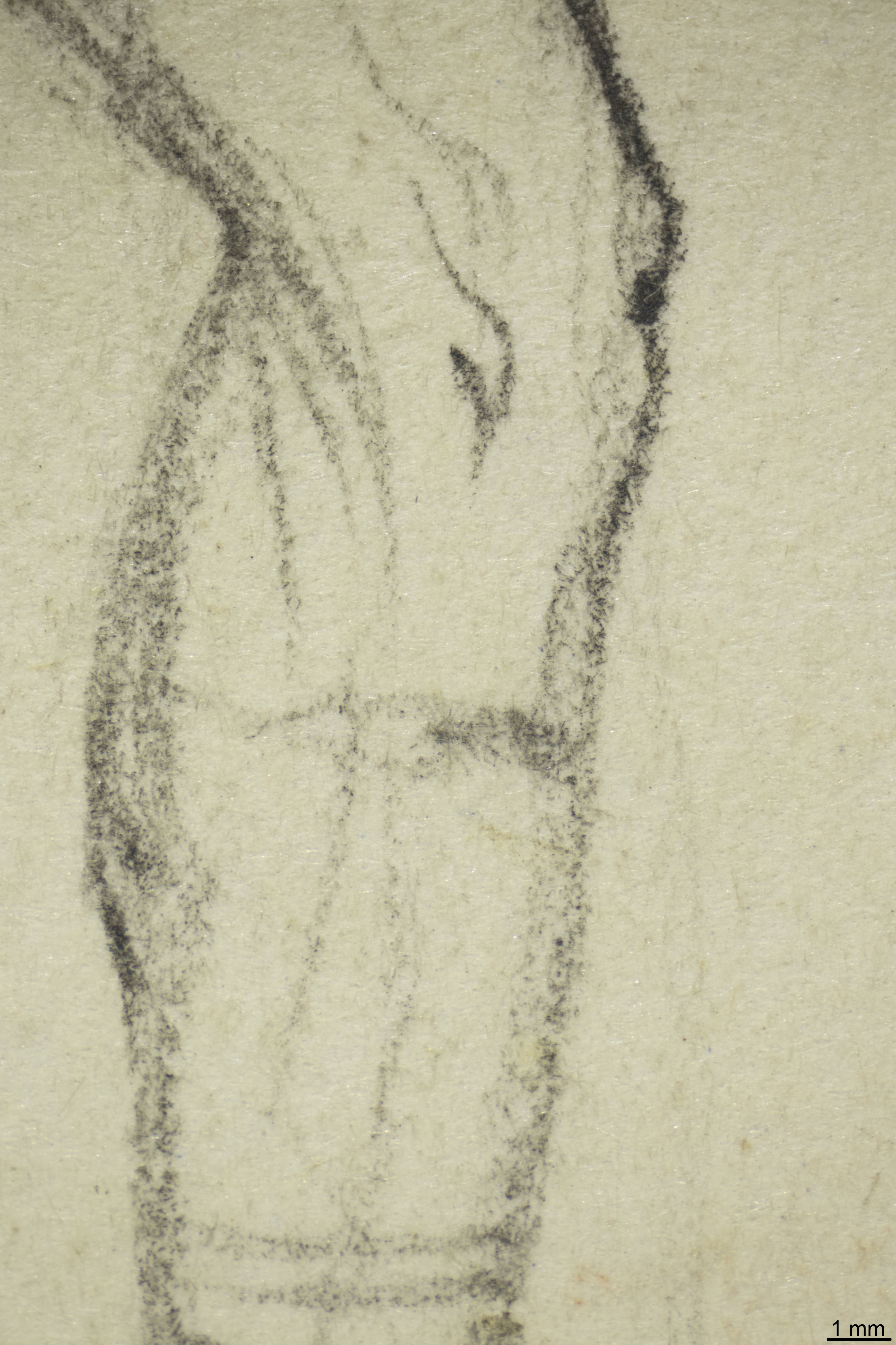 Detailaufnahme der Piranesi-Zeichnung mit Auflicht.