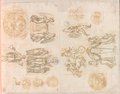 Infrarot-Falschfarben-Aufnahme Kleinteilige Rötelzeichnung mit verschiedenen mythologischen Szenen, Figuren, Köpfe und Ornamente