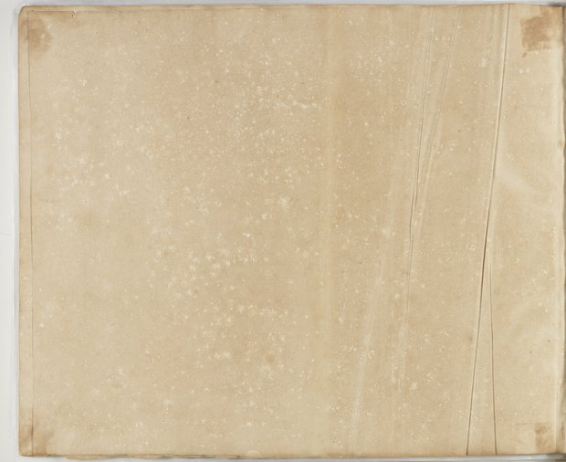 Auflichtaufnahme Rückseite fünfundneunzigstes Blatt Klebeband 1