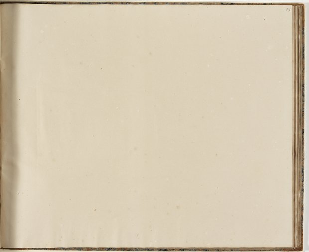 Auflichtaufnahme Achtzigstes Blatt leer Klebeband 2