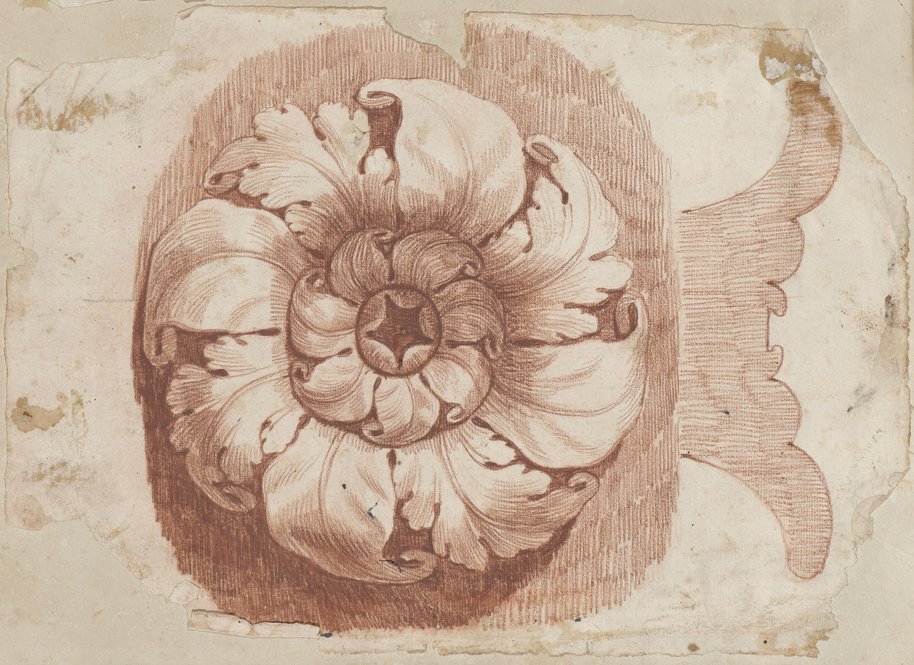 Visible reflectance photograph Rosette drawn with sanguine and red chalk, probably from the Arch of Titus