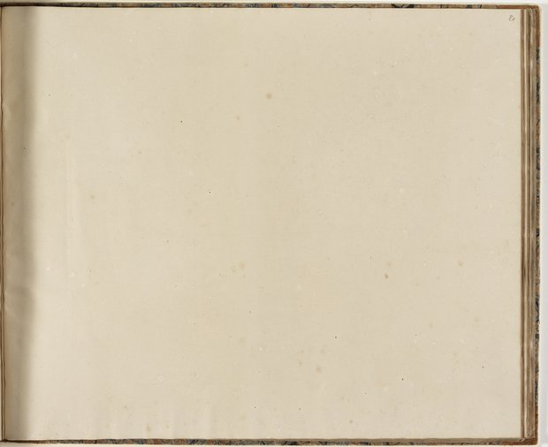 Auflichtaufnahme Einundachtzigstes Blatt leer Klebeband 2