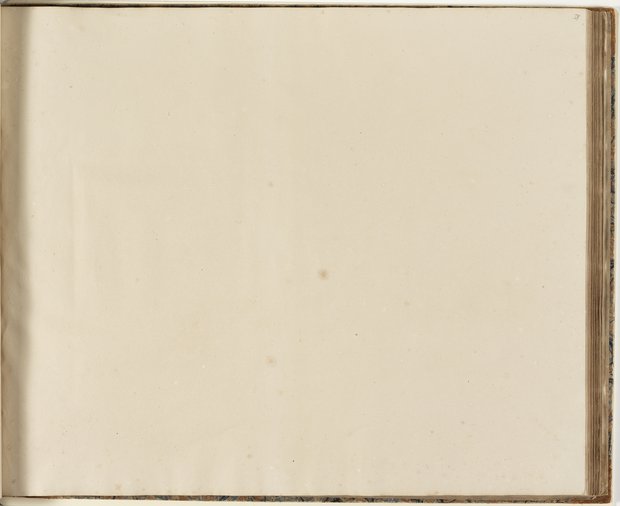 Auflichtaufnahme Achtunddreißigstes Blatt leer Klebeband 2