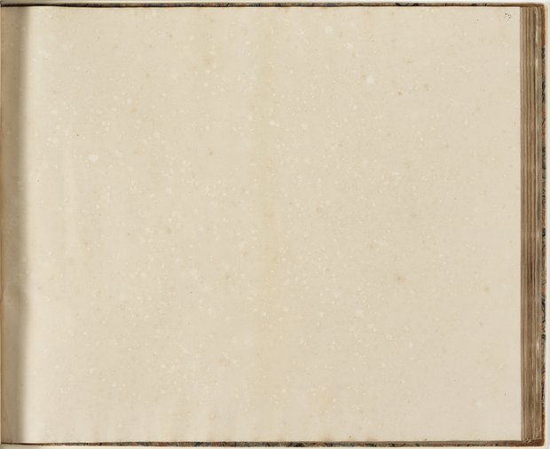 Auflichtaufnahme Siebenundfünfzigstes Blatt leer Klebeband 2