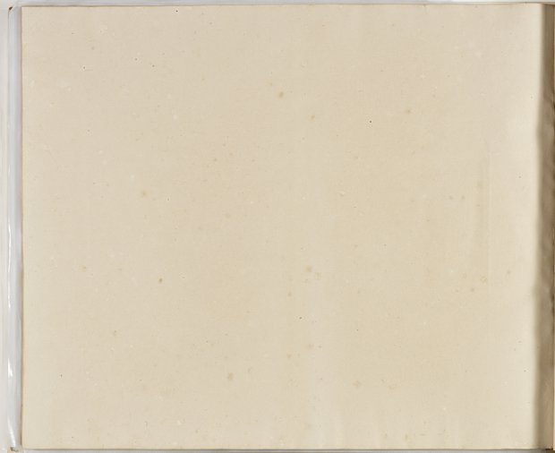 Auflichtaufnahme Rückseite achtzigstes Blatt Klebeband 2