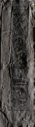 Raking light photograph Column with bearded snake, vine and leaf motifs, drawn in black pen