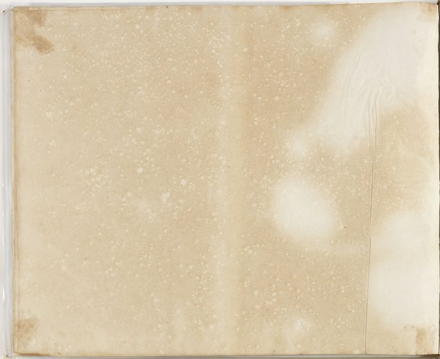 Auflichtaufnahme Rückseite siebenundneunzigstes Blatt Klebeband 2