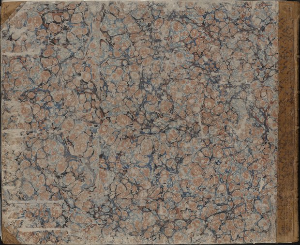 Auflichtaufnahme Rückdeckel des zweiten Bandes mit blau und rot gemustertem Steinmarmorpapieren und an den Ecken und am Rücken mit braunem Leder bezogen