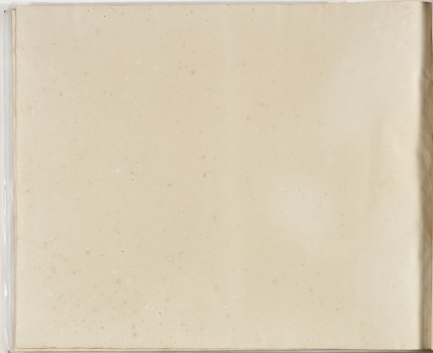 Auflichtaufnahme Rückseite einundneunzigstes Blatt Klebeband 2