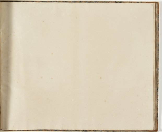 Auflichtaufnahme Achtundachtzigstes Blatt leer Klebeband 2