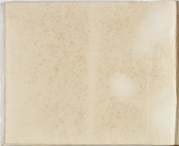 Auflichtaufnahme Rückseite fünfundneunzigstes Blatt Klebeband 2