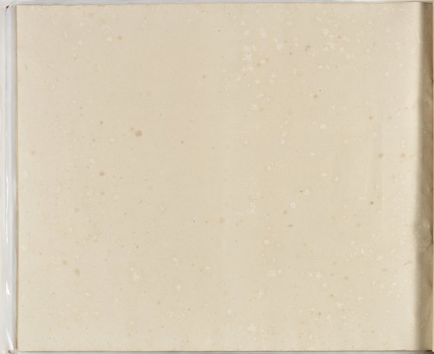 Auflichtaufnahme Rückseite vierundsiebzigstes Blatt Klebeband 2