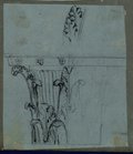 UV fluorescence photograph Black chalk drawing of a capital with leaf motif, the left half heavily worked up, the sketch above shows enlarged detail of the leaf