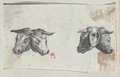 Infrarot-Falschfarben-Aufnahme Druckgrafische Frontal- und Rückansicht des Kopfes einer zweiköpfigen Kuh im Tiefdruckverfahren erstellt