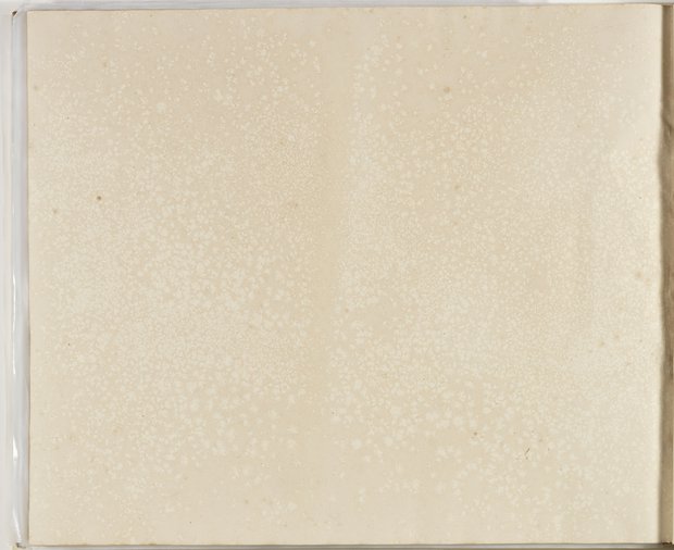 Auflichtaufnahme Rückseite fünfundachtzigstes Blatt Klebeband 2