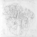 Infrarotreflektografie Rötelzeichnung vom Fragment eines Wannensarkophags mit Löwenkopf aus der Villa Albani