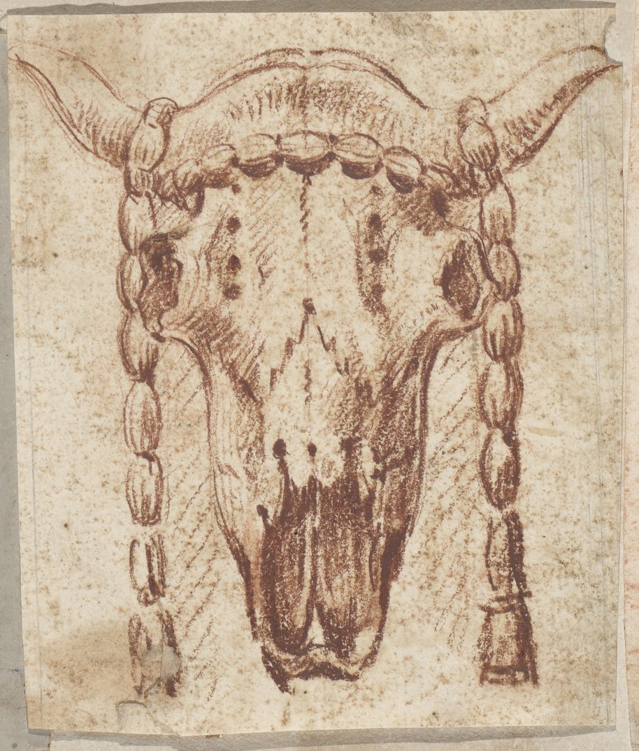 Visible reflectance photo Red chalk and graphite drawing of a bucranion with bead garland