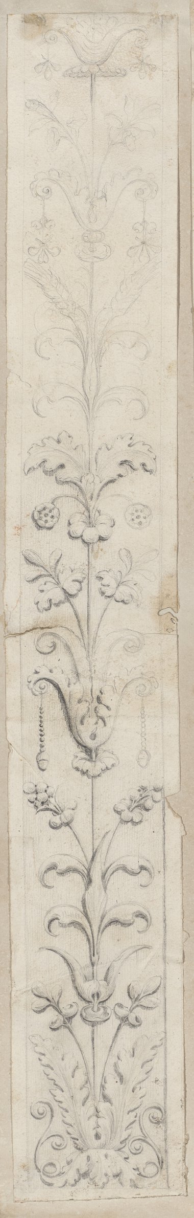 Auflichtaufnahme Florales Pilasterrelief, mit schwarzer Kreide gezeichnet