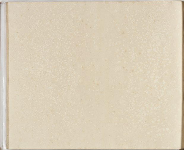 Visible reflectance photograph Verso of the fifthy-ninth sheet, Album 2