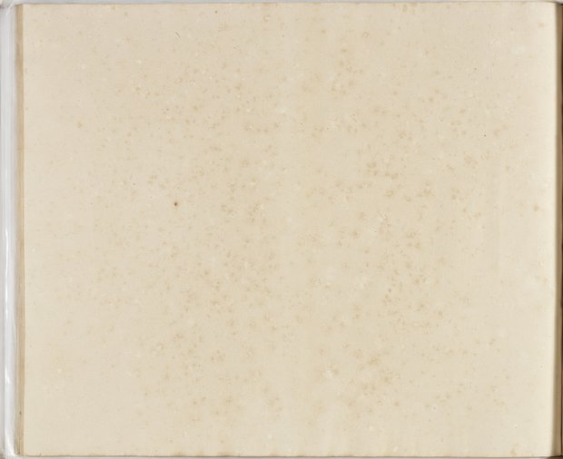 Auflichtaufnahme Rückseite sechsundfünfzigstes Blatt Klebeband 2