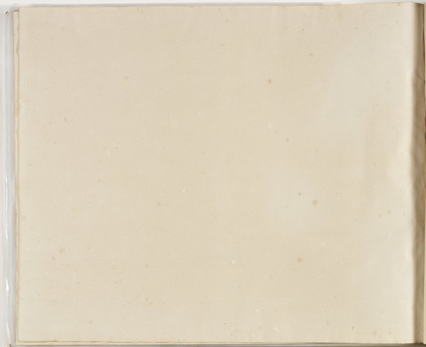 Auflichtaufnahme Rückseite neunundachtzigstes Blatt Klebeband 2