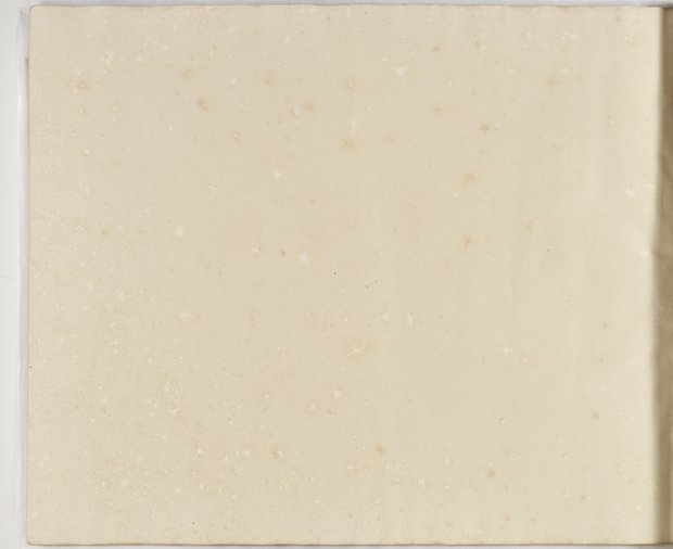 Auflichtaufnahme Rückseite neunundachtzigstes Blatt Klebeband 1