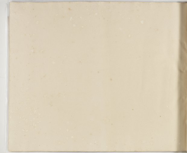 Visible reflectance photograph Verso of the seventy-seventh sheet, Album 1