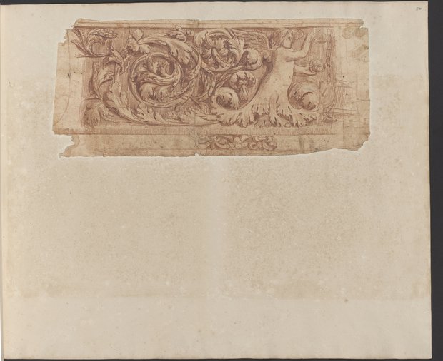 Auflichtaufnahme Fries mit Rankeneros vor Kandelaber, untere Blatthälfte frei