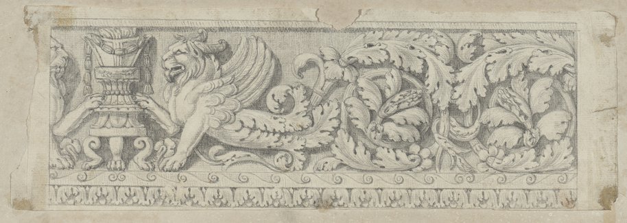 Visible reflectance photograph Wavy vine frieze drawn in black chalk with a candelabra and a horned and winged lion emerging of its wavy tendril