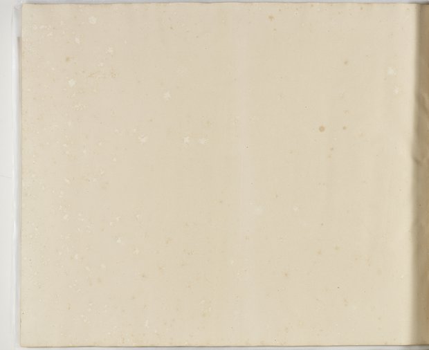 Visible reflectance photograph Verso of the eightieth sheet, Album 1