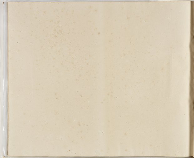 Auflichtaufnahme Rückseite einundachtzigstes Blatt Klebeband 2