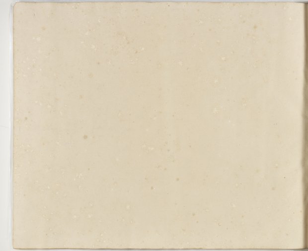 Auflichtaufnahme Rückseite einundneunzigstes Blatt Klebeband 1