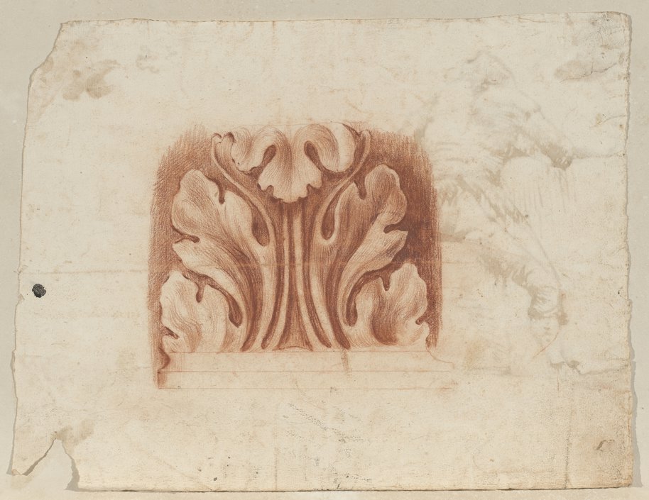 Visible reflectance photograph Red chalk drawing of an axisymmetric acanthus leaf