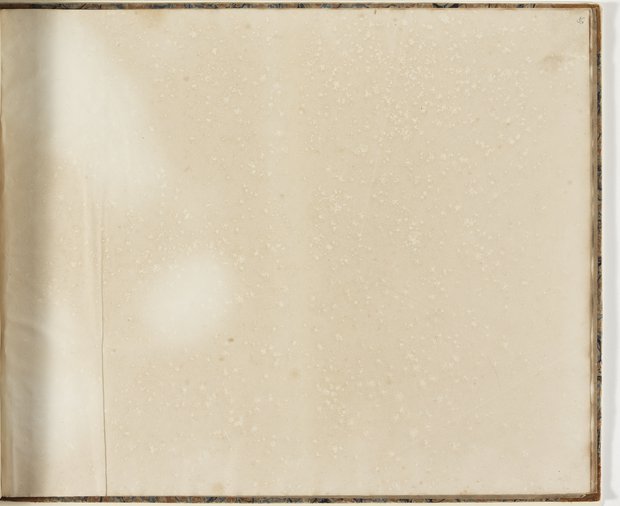 Auflichtaufnahme Sechsundneunzigstes Blatt leer Klebeband 2