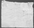 Infrarotreflektografie Rötelzeichnung von drei Akanthusblättern und zahlreiche Stiftproben auf Blattrückseite