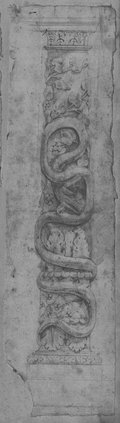 UV reflectance photograph Column with bearded snake, vine and leaf motifs, drawn in black pen