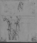 UV reflectance photograph Black chalk drawing of a capital with leaf motif, the left half heavily worked up, the sketch above shows enlarged detail of the leaf