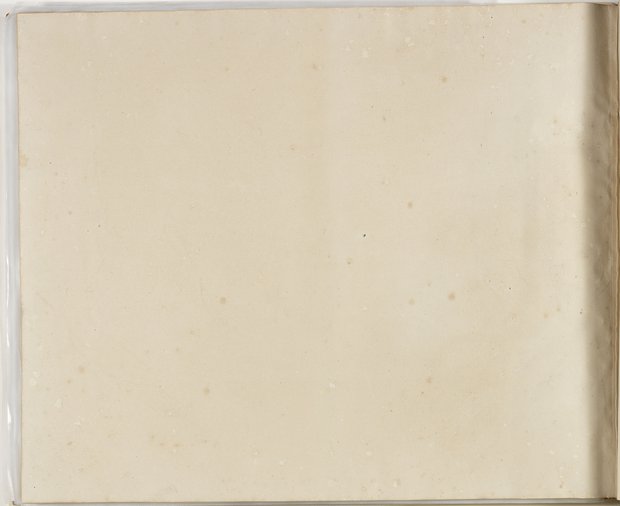 Auflichtaufnahme Rückseite achtundachtzigstes Blatt Klebeband 2