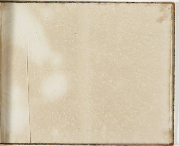 Auflichtaufnahme Siebenundneunzigstes Blatt leer Klebeband 2