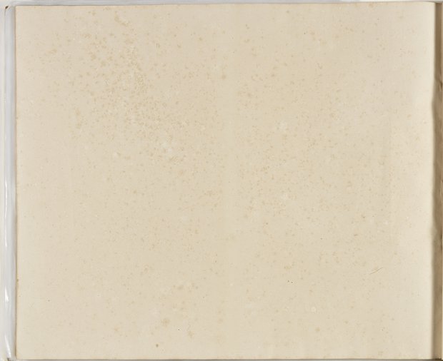 Auflichtaufnahme Rückseite zweiundachtzigstes Blatt Klebeband 2