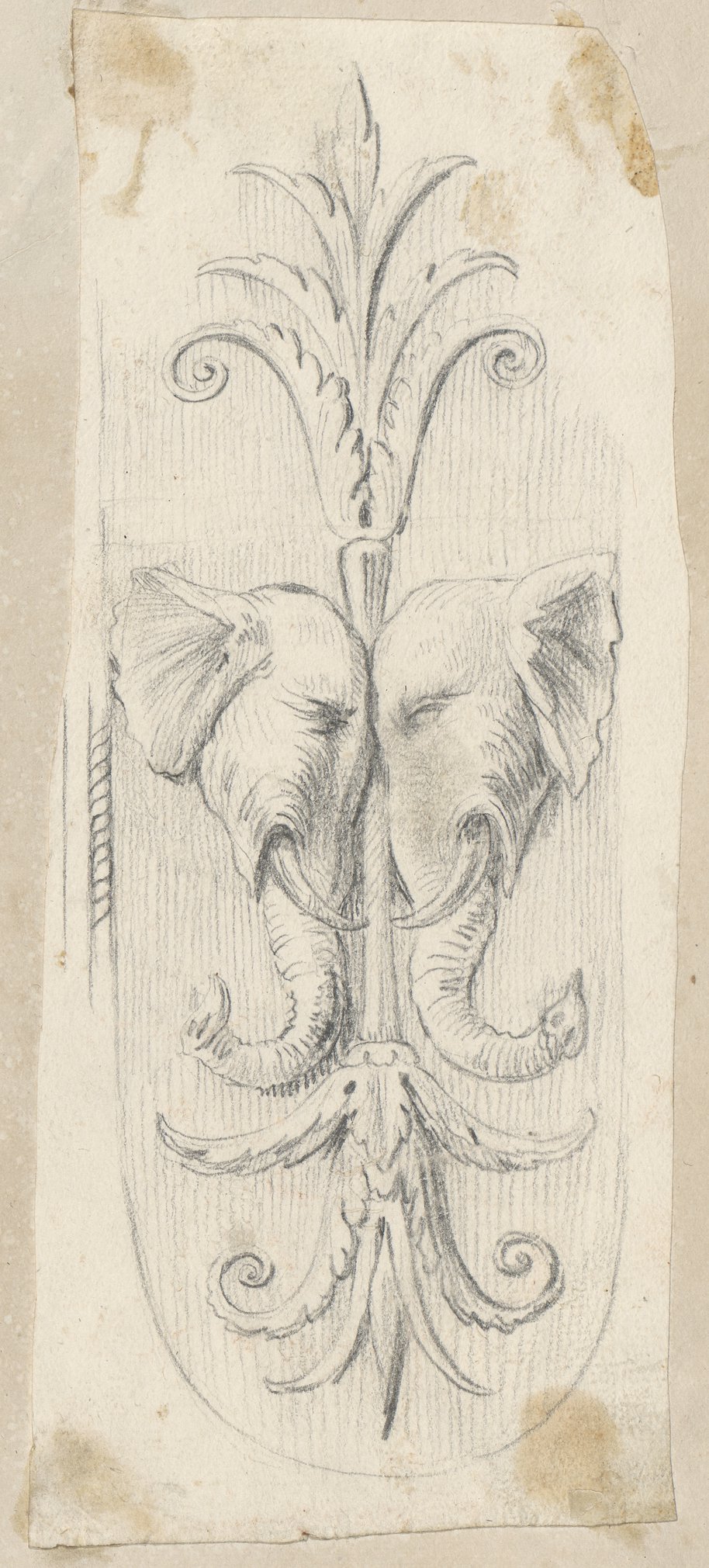 Auflichtaufnahme Kreidezeichnung eines Pteryges mit Seitenansicht zweier Stirn an Stirn gelegter Elefantenköpfe von der Kolossalstatue des Mars Ultor in den Kapitolinischen Museen