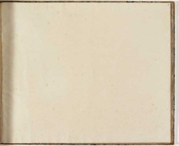 Auflichtaufnahme Neunundachtzigstes Blatt leer Klebeband 2