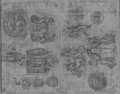 UV-Reflektografie Kleinteilige Rötelzeichnung mit verschiedenen mythologischen Szenen, Figuren, Köpfe und Ornamente