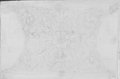 Infrarotreflektografie Mit Rötel gezeichnete Soffitte mit Blattranken und zentraler Blüte aus der Hadriansvilla in Tivoli