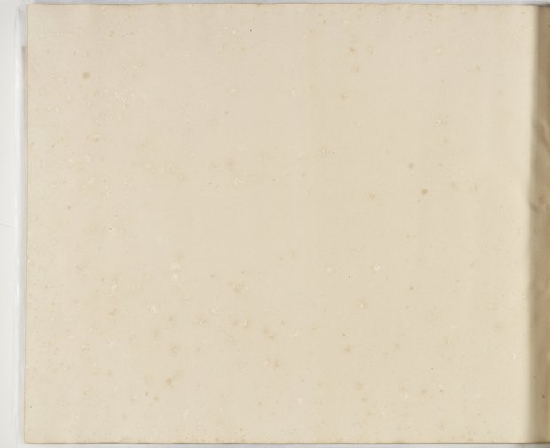 Visible reflectance photograph Verso of the eighty-first sheet, Album 1